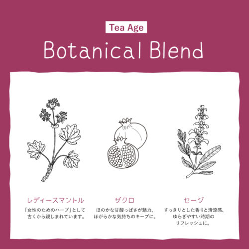 0711SOチャイEC画像_2025.06-1197